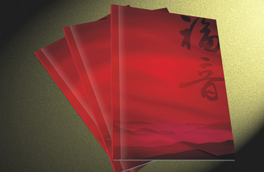 企業(yè)畫冊設(shè)計(jì)—福音假肢企業(yè)畫冊設(shè)計(jì)