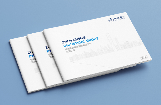 臻誠實(shí)業(yè)資質(zhì)畫冊設(shè)計(jì)